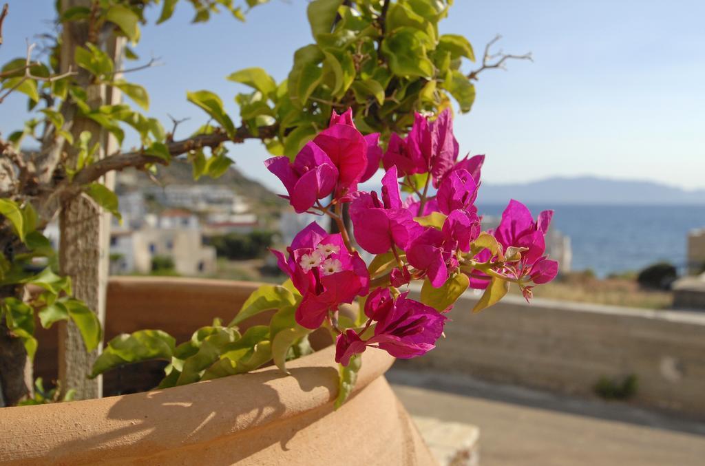 Pantonia Apartments Agia Pelagia  Quarto foto