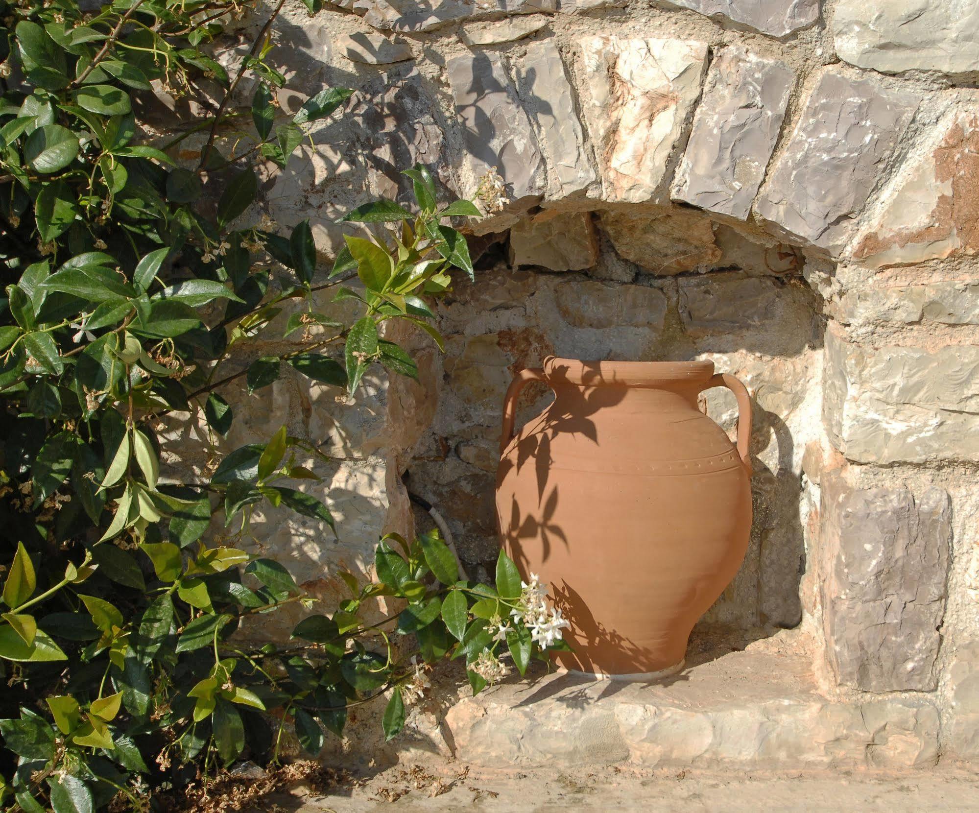 Pantonia Apartments Agia Pelagia  Exterior foto